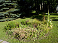 Larger view