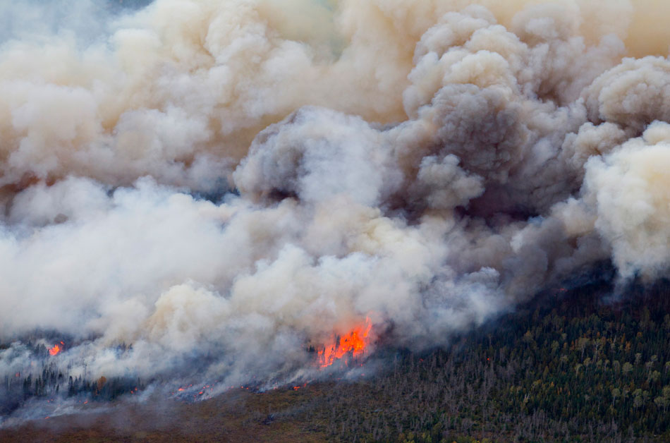 Pagami Creek Fire