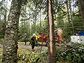 Firefighters clear brush