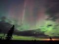 Northern lights