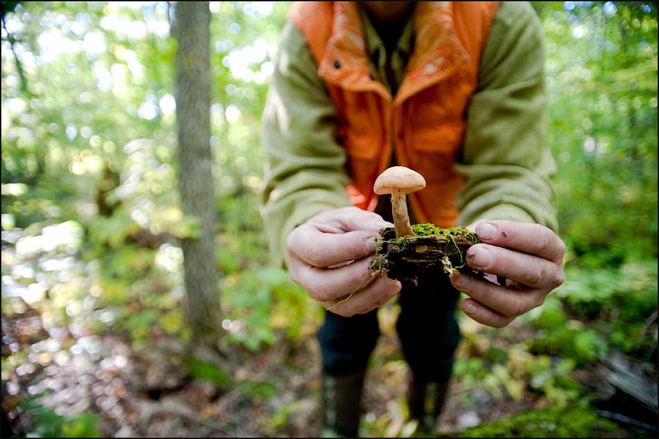 Wild Food Summit