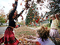 Community leaf pile