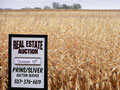 Land auction