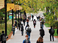 University of Minnesota