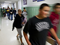School halls