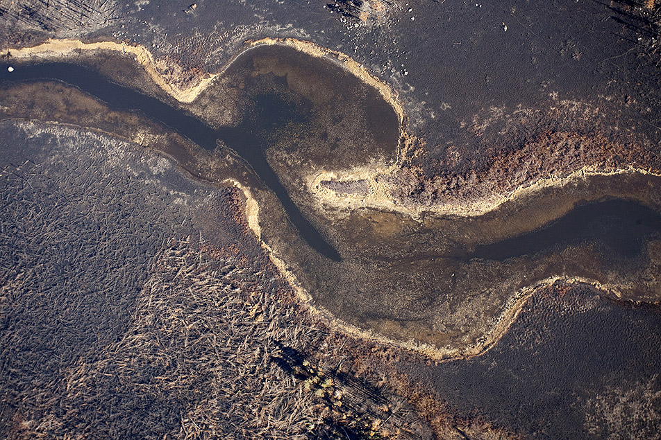 Charred meadows