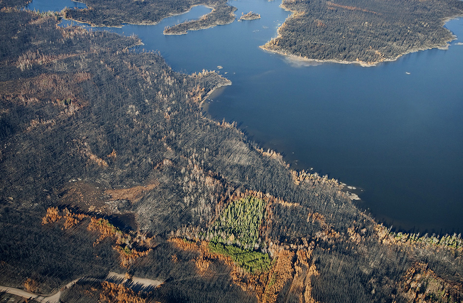 Isabella Portage