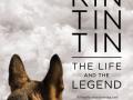 Rin Tin Tin