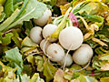 Turnips