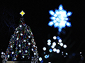 National Christmas Tree