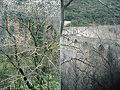 Larger view
