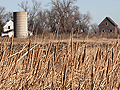 Traverse farmland