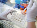 Lab work