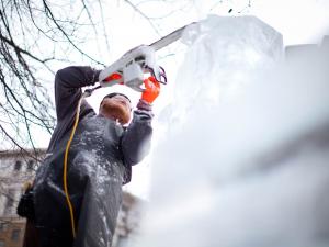 Winter Carnival ice sculptures