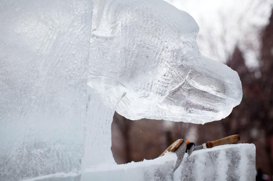 Winter Carnival ice sculptures