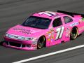 susan g. komen nascar