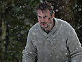 Liam Neeson