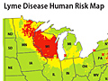 Tick map