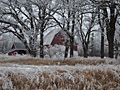 Abandoned farm