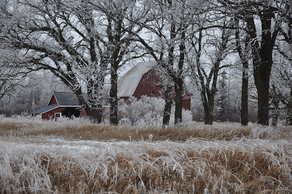 Abandoned farm