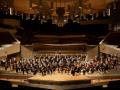 Die Berliner Philharmoniker