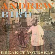 Andrew Bird - Break It Yourself
