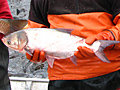Larger view