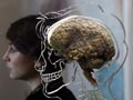 The Real Brain Exhibit at Bristol Science Centre