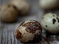 Dining with Dara: Eggs