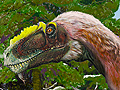 Yutyrannus huali, feathered dinosaur