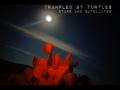 Trampled By Turtles