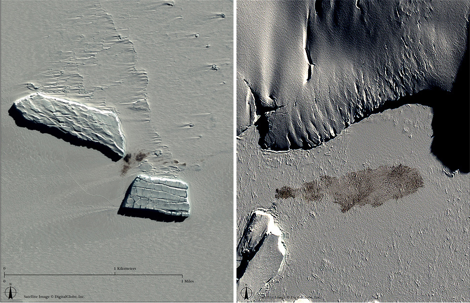 Penguins from space