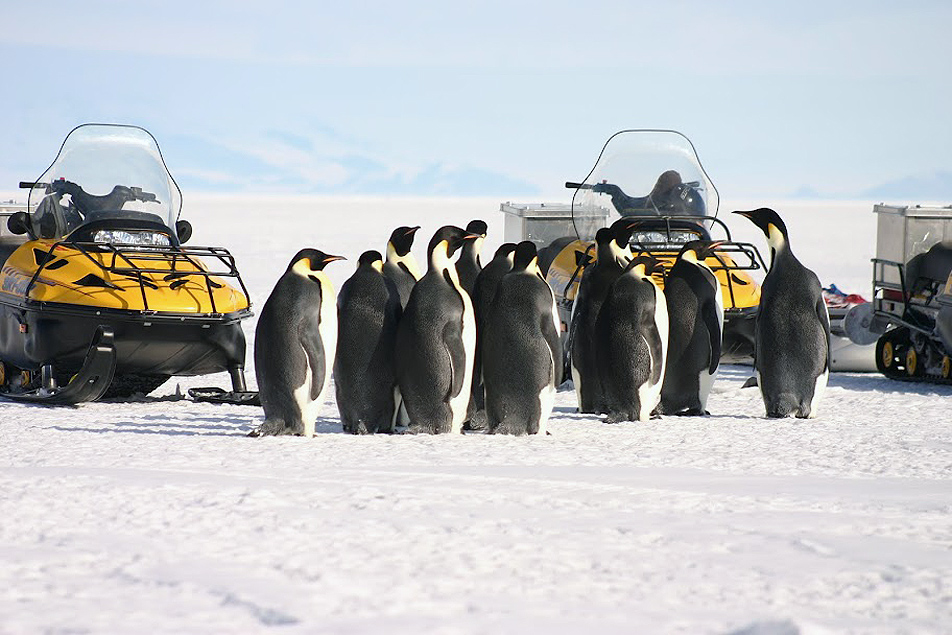 Researchers on the ice