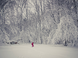 Snowy backyard