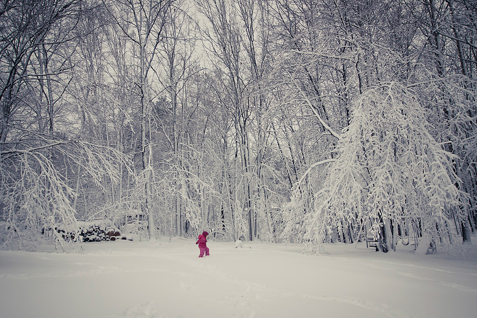 Snowy backyard