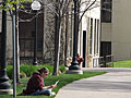 Student reads outside the ag school