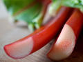 Rhubarb