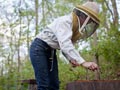 Beekeeping in Minnesota