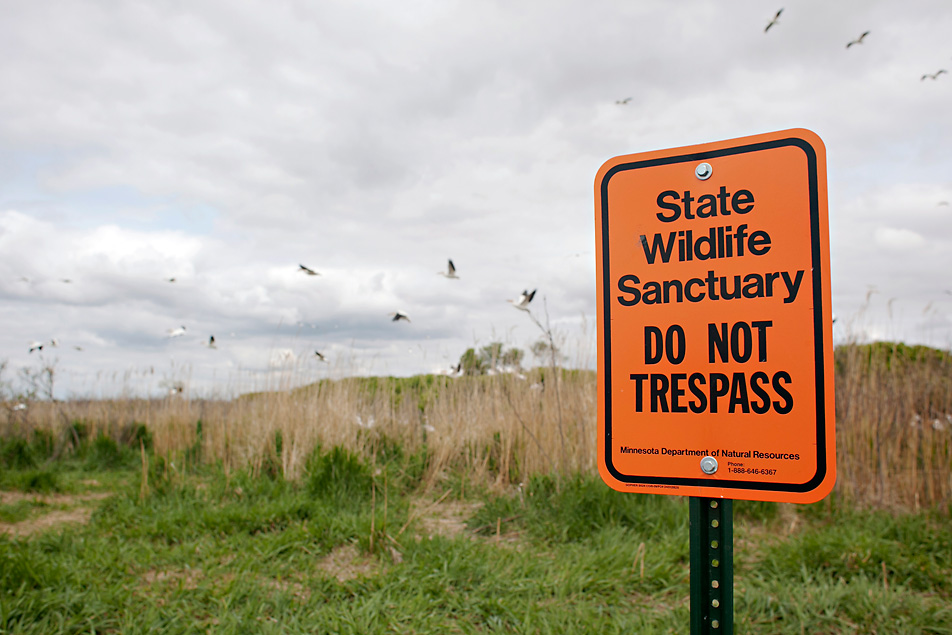 Marsh Lake sanctuary
