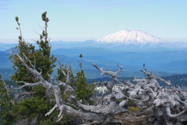 Mount St. Helens