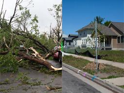 Before/after tornado