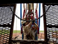 Oil derrick workers