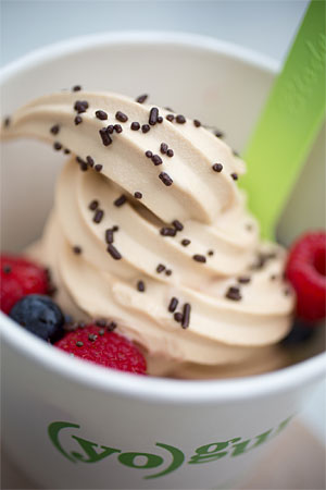 Yogurt lab coupons mn