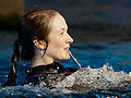 Minnesota Zoo dolphins