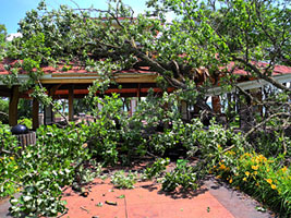 Larger view