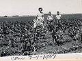 Larger view