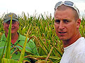 Corn drought