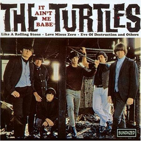 Album art for The Turtles's Album art for The Turtles's