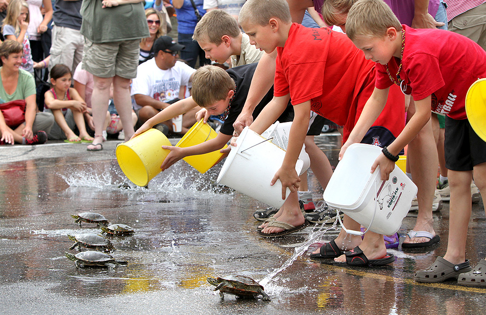 Minnesota Daily Life - Nisswa Turtle Races