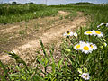 Larger view